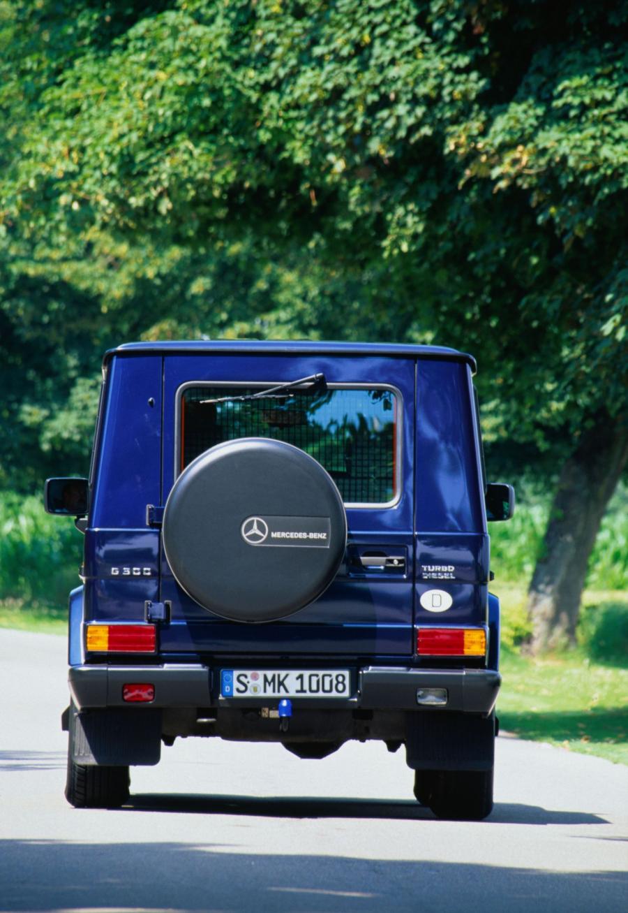  Mercedes-Benz G-Class 1990 года  (фото 250 из 260)